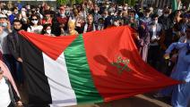 سياسة/تضامن مغربي مع فلسطين/(جلال مرشيدي/الأناضول)