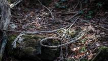 Japan's Suicide Forest FUJIKAWAGUCHIKO, JAPAN - MARCH 13: A rope remains at the scene of an apparent suicide in Aokigahara forest, on March 13, 2018 in Fujikawaguchiko, Japan. Aokigahara forest lies on the on the northwestern flank of Mount Fuji and in recent years has become known as one of the world's most prevalent suicide sites. The density of the forest is believed to be a contributing factor with people often tying string to trees to find their way back to a path in case they change their mind. In 201