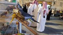 طيور سوق واقف- العربي الجديد