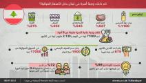 تكاليف الغذاء للأسر اللبنانية (العربي الجديد)