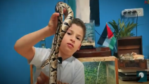 طفل فلسطيني يربي ثعابين في غرفته (يوتيوب)