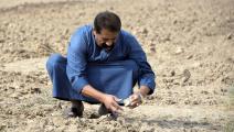 جفاف وتصحر في العراق (زيد العبيدي/ فرانس برس)