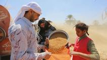 مزارعون يحصدون القمح في محافظة الفيوم جنوب القاهرة فاضل داوود/Getty