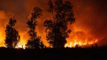 حريق غابات في المغرب وسط تغير المناح (فاضل سنّا/ فرانس برس)