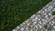 غابات الأمازون في البرازيل (ميكايل دانتاس/ فرانس برس)