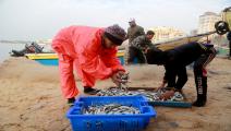 فلسطين/اقتصاد/الصيد في غزة/26-04-2016 (عبد الحكيم أبو رياش)