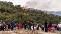 حريق في غابة في تونس - مجتمع