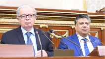مجلس النواب المصري وكالة أنباء البرلمان 25 مارس 2019
