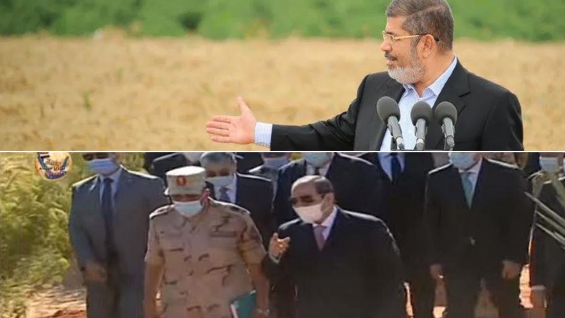قمح مرسي