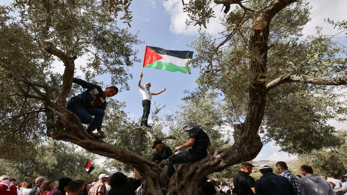 فلسطيني يلوح بالعلم قرب سخنين (فرانس برس)