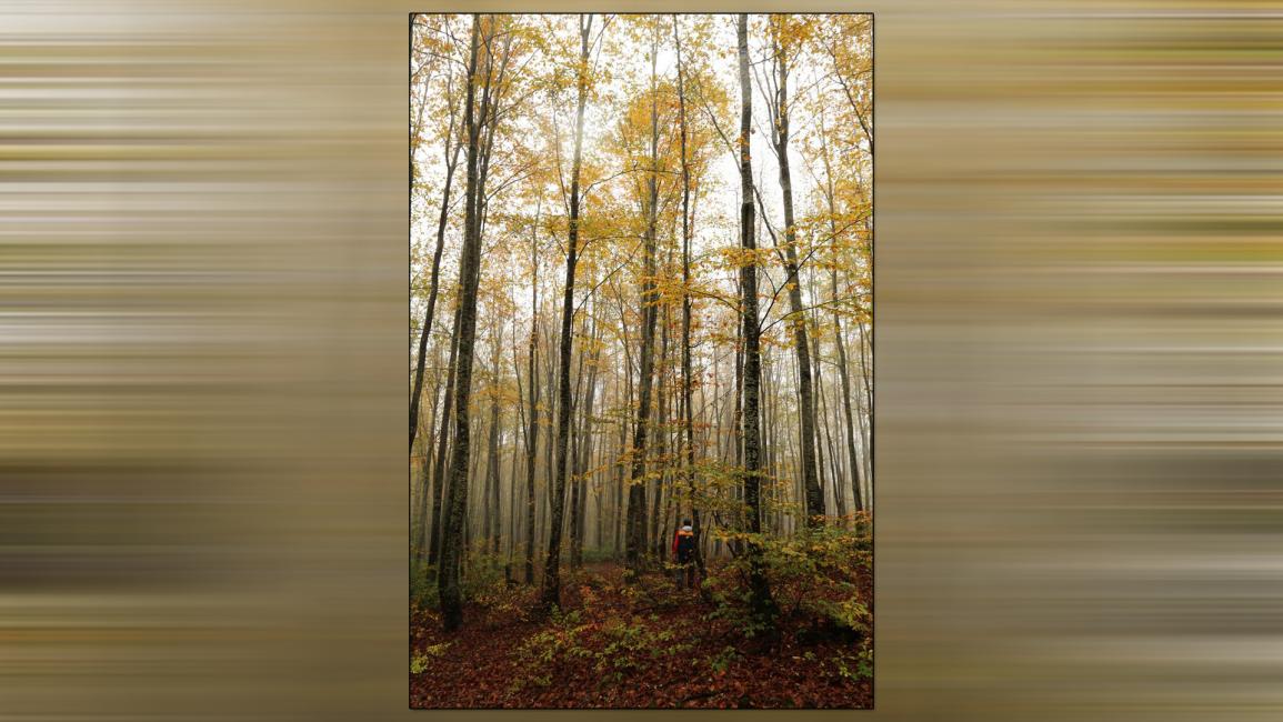 روعة الخريف في "قاستامونو" التركية تجذب عاشقي الطبيعة