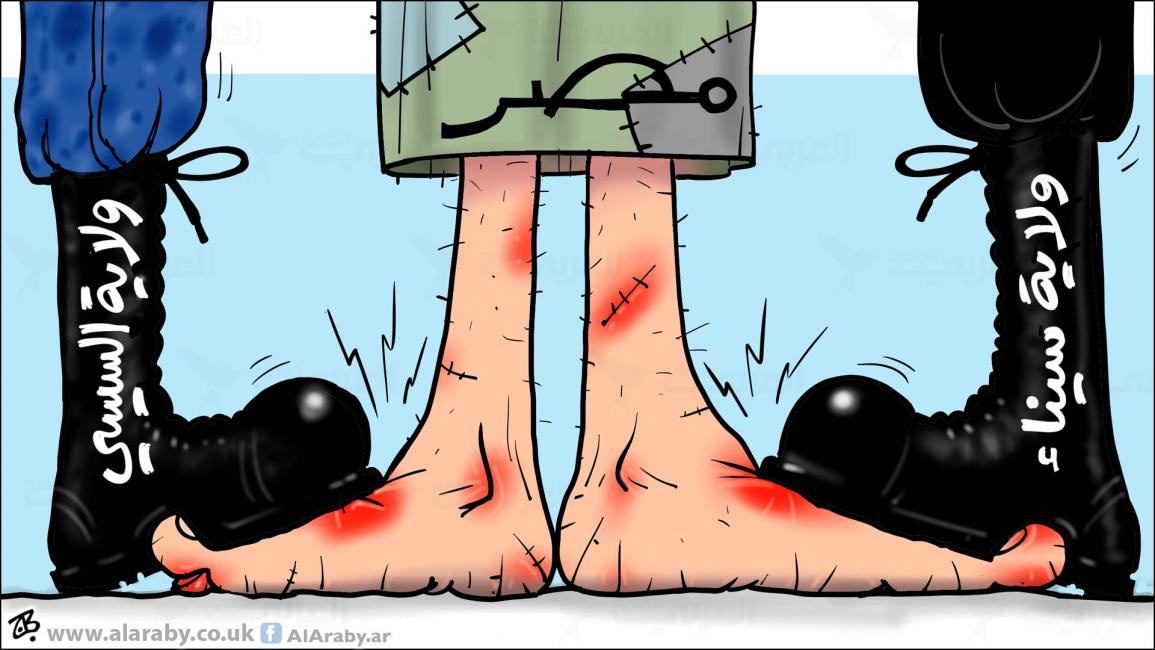 كاريكاتير ولاية سيناء / حجاج