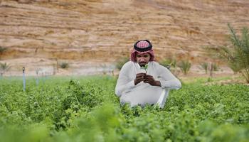 الزراعة هي المستهلك الرئيسي للمياه الجوفية للمنطقة، وادي العلا - السعودية (Getty)