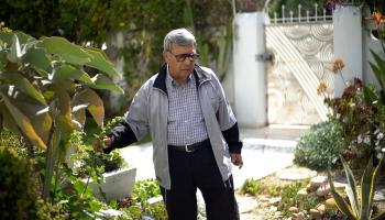 مسن تونسي يزرع الأشجار (العربي الجديد)