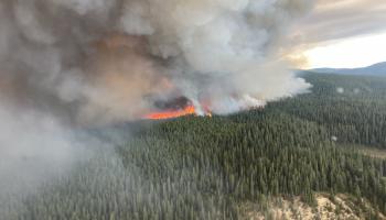 لم تهدأ حرائق الغابات في كندا هذا الصيف (Getty)