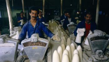  داخل مصنع للسكر في المغرب (ميشال ستبون/ Getty)