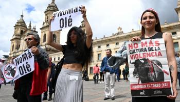 متظاهرون مؤيدون لحظر مصارعة الثيران أمام مبنى الكونغرس في بوغوتا، 7 مايو 2024 (راوول أربوليدا/ فرانس برس)