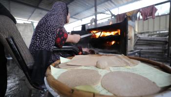 الأعلاف طعام سكان غزة للبقاء على قيد الحياة (الأناضول)