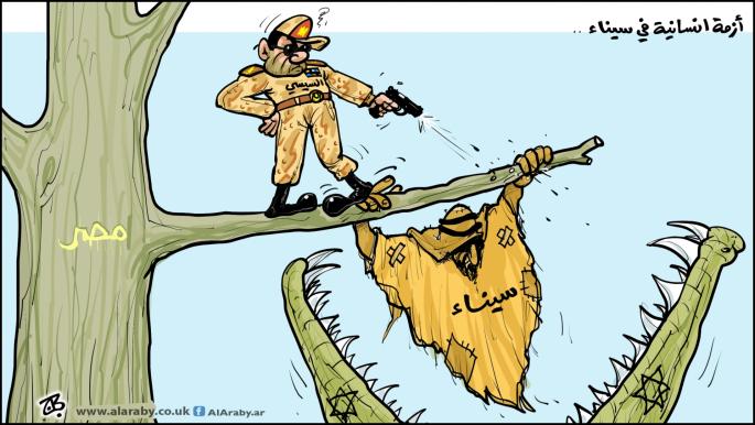 كاريكاتير ازمة سيناء / حجاج